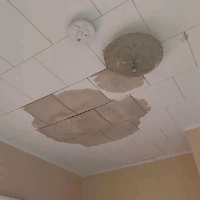 Ceiling Water Damage Repair in Wewoka, OK
