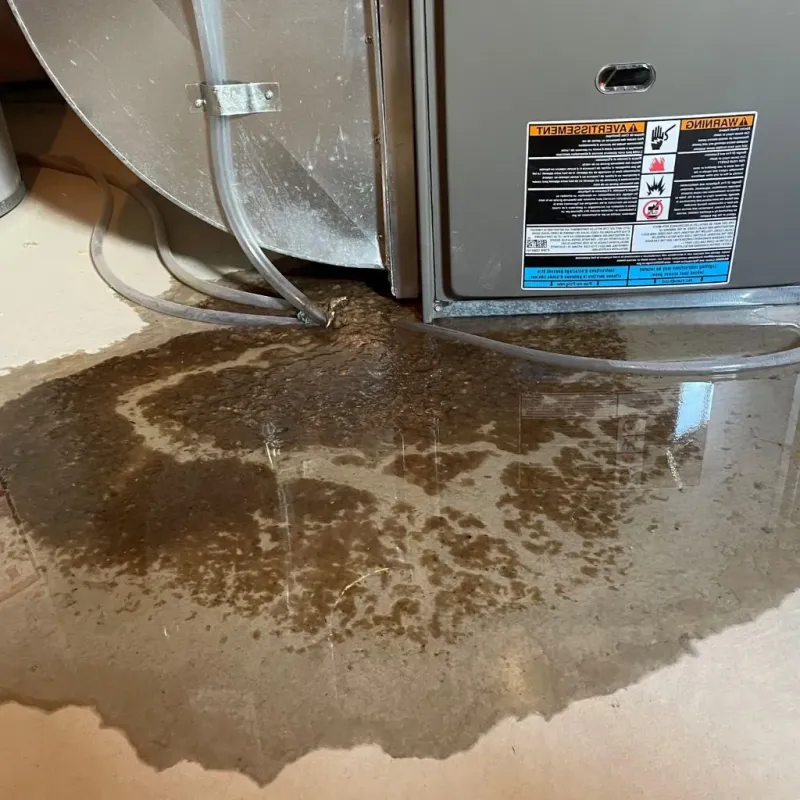 Pipe Burst and Leak Restoration in Wewoka, OK
