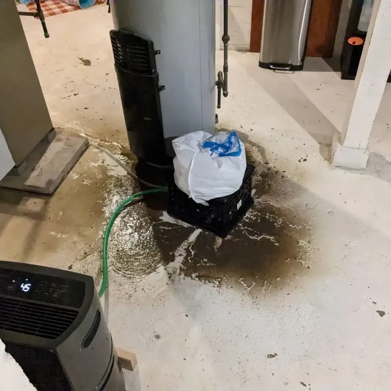 Sewage Backup Cleanup Service in Wewoka, OK